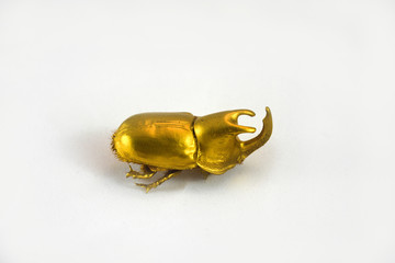 golden scarab