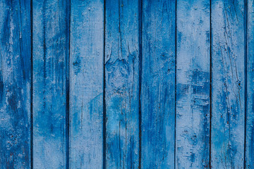 Fototapeta na wymiar Wood texture. Blue background old pale scratched panels