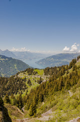 Interlaken, Dorf, Thunersee, Schynige Platte, Berner Oberland, Berner Alpen, Alpen, Niesen, Wanderweg, Wanderferien, Sommer, Schweiz