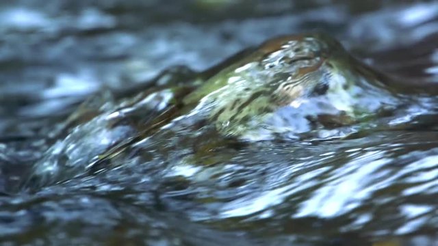Slowmotion detail of water flows across the stone
