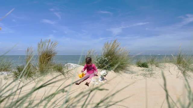 jolie fille avec son chien sur la plage(4k)
