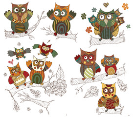 Obraz premium Owl Doodle with Flower Vector