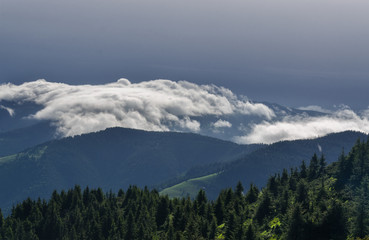 Summer in the mountains