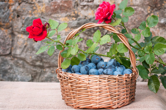 Basket of plums and roses