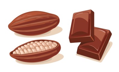 Two chocolate pieces and fuits of cocoa beans.