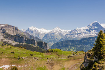 Naklejka premium Interlaken, Alpen, Schweizer Berge, Berner Oberland, Schynige Platte, Eiger, Schreckhorn, Wetterhorn, Wanderweg, Sommer, Schweiz