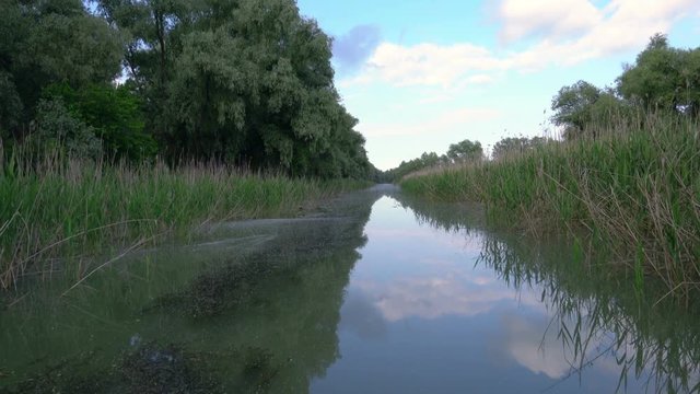 Water channel, river in Danube Delta, Romania