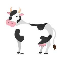 Cow colorful animal cartoon icon, vector illustration graphic.