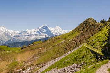 Interlaken, Berner Oberland, Schynige Platte, Alpen, Wanderweg, Eiger, Mönch, Jungfrau, Sommer, Schweiz
