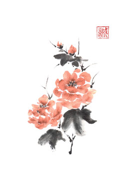 Japanese style sumi-e pink peony ink painting.