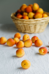 Fresh apricots in the basket on a table