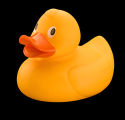 Yellow rubber duck on black background