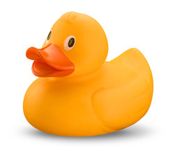 Yellow rubber duck on white background with shadow