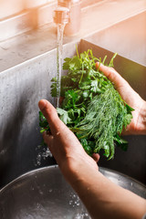 Hands washing dill and parsley. Greenery under flow of water. Time to cook lunch. Eat healthy and live long.