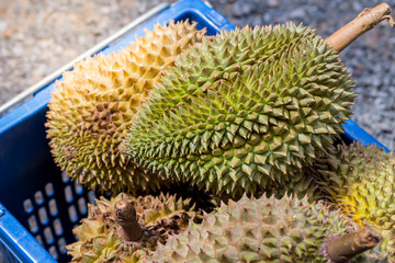 Durian fruit Thailand