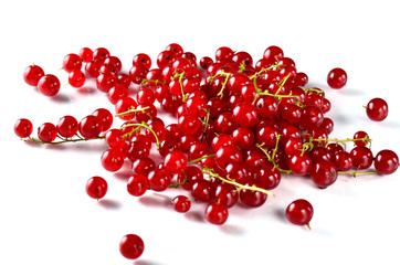 Fresh red currant isolated on white background.