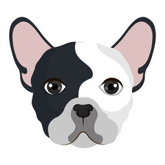 Dog face colorful cartoon, vector illustration graphic design.