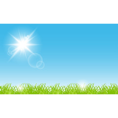 Fototapeta na wymiar Grass, sky, sun, beautiful scenery. Nature background with rays and flares. Banner summer time