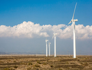 Wind mills during summer day with cloud and blue sky