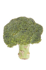 fresh green broccoli isolated on white