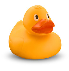 Yellow rubber duck on white background with shadow
