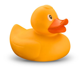 Yellow rubber duck on white background with shadow