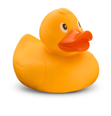Yellow rubber duck on white background with shadow