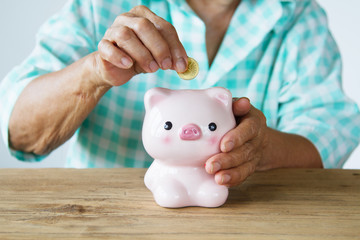 Obraz na płótnie Canvas Senior woman hand putting money coin to piggy bank 
