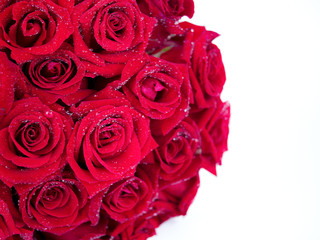 Bouquet red roses flower on isolated background 1