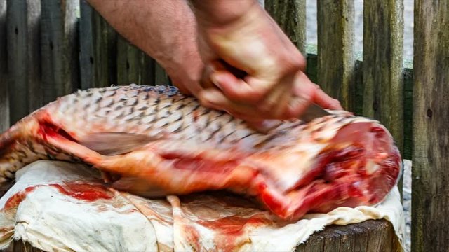 caught fish on the stump is cut with a sharp knife. carp sea.