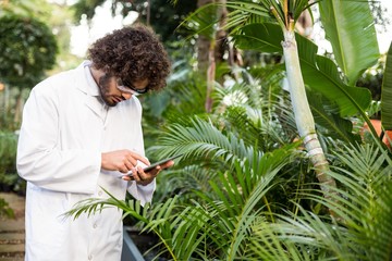 Naklejka na ściany i meble Scientist using digital tablet while examining plants