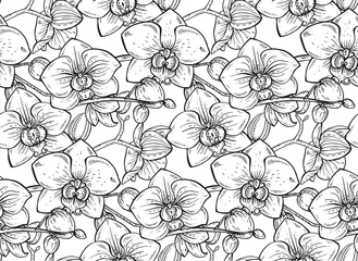 Papier Peint photo Orchidee Floral pattern sans couture avec des fleurs d& 39 orchidées dessinées à la main
