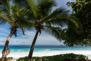 Seychelles, île de Mahé, plage de Petite Anse