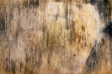 the texture of the wood and mold