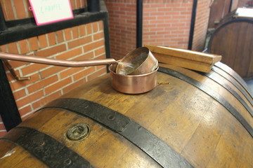 Francia,regione di Cognac.