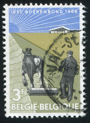 Farmer with horse-drawn roller
