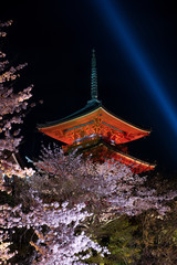 Kiyomizu dera temple , light up in spring