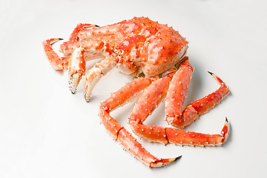 Large red king kamchatsky crab on white background