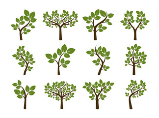 Obraz premium Set of Trees with Green Leafs. Vector Illustration.