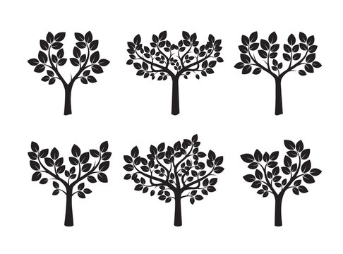 Set of Black Trees. Vector Illustration.