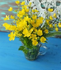 Marsh Marigolds in Springtime, bouquet, rustic style.