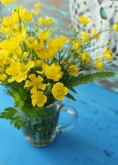 Marsh Marigolds in Springtime, bouquet, rustic style.