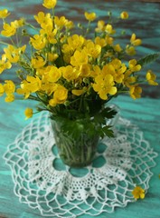 Marsh Marigolds in Springtime, bouquet, rustic style.