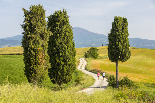 Couple Walking By Farm Road In Tuscany In Italy