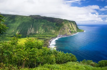 Foto op Plexiglas View from Waipio Valley Lookout on Big Island Hawaii © leekris