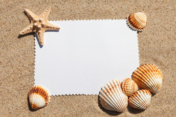 Empty white card with exotic seashells is lying on a sea sand