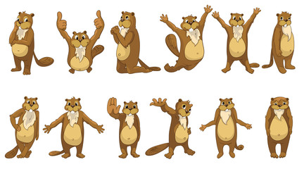 Vector set of cute beavers illustrations. © Visual Generation