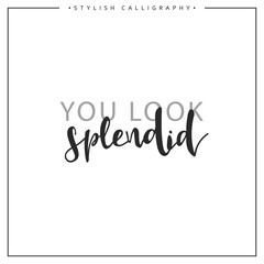 Fototapeta premium Calligraphy isolated on white background inscription phrase, you look splendid.