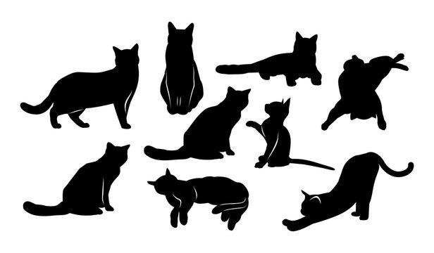 black silhouettes of cats on a white background
