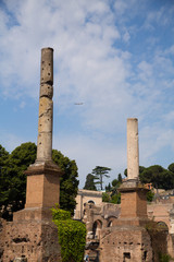 Fototapeta premium Roman Forum, Rome